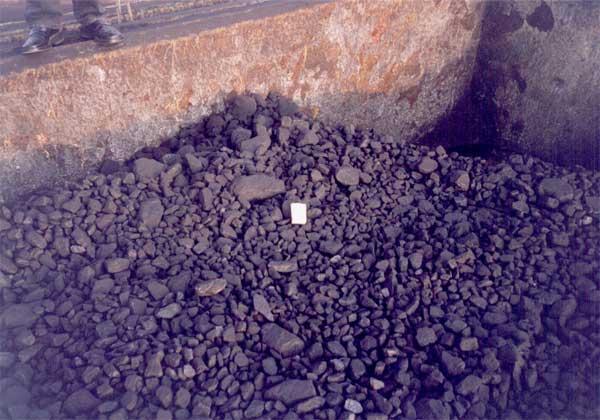 Coal